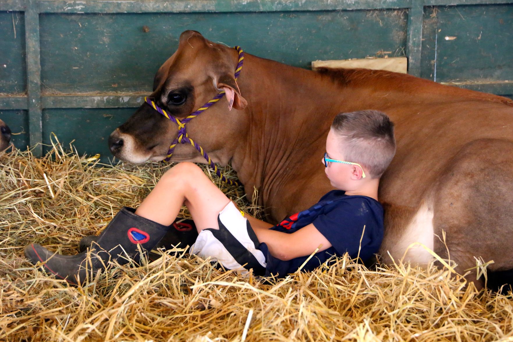 Washington County Fair